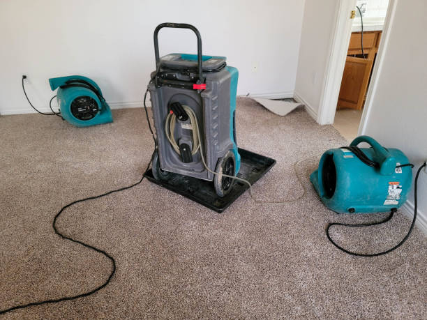  Tualatin, OR Water damage restoration Pros