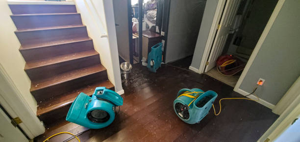 Best Ceiling water damage repair  in Tualatin, OR