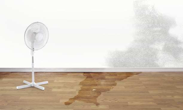 Best Water damage cleanup near me  in Tualatin, OR