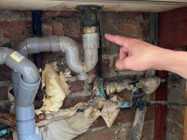 Best Basement water damage restoration  in Tualatin, OR