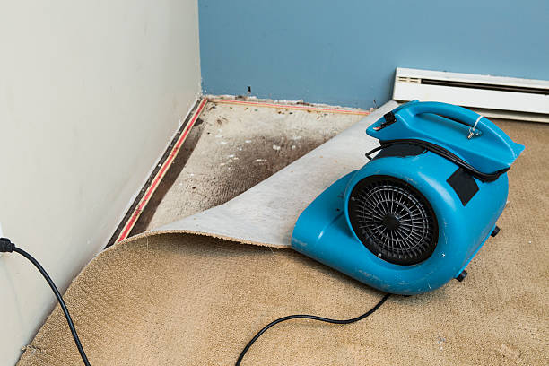 Best 24-hour water damage restoration  in Tualatin, OR